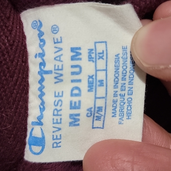 Champion Reverse Weave Cropped Hoodie - Picture 5 of 5